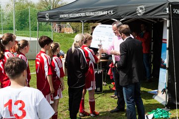 Bild 223 - Qualifikationsturnier Metropolregion Hamburg-Cup 2013